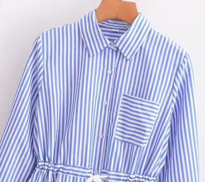 Turn-Down Collar A-Line Shirt Dress