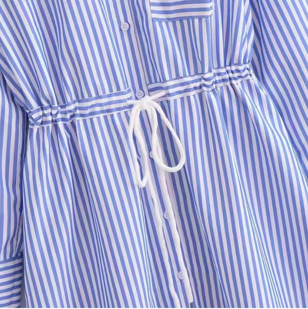 Turn-Down Collar A-Line Shirt Dress