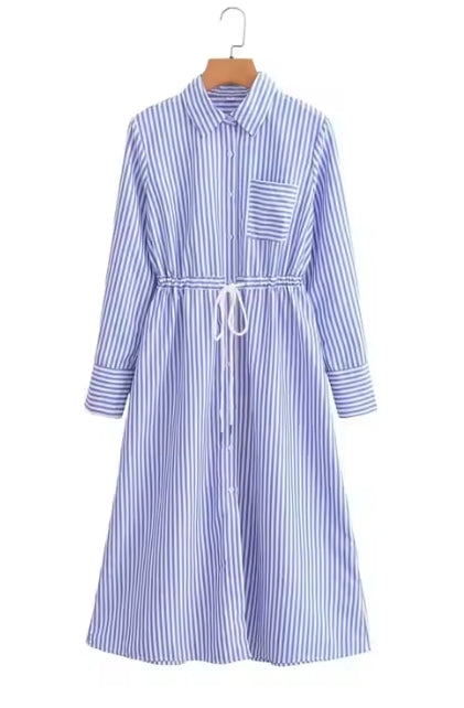 Turn-Down Collar A-Line Shirt Dress