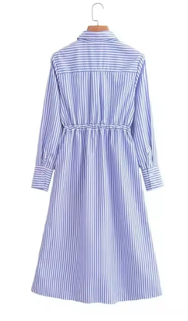 Turn-Down Collar A-Line Shirt Dress